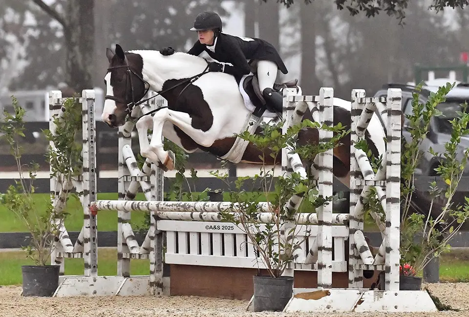 Equus Events sponsor and show photography