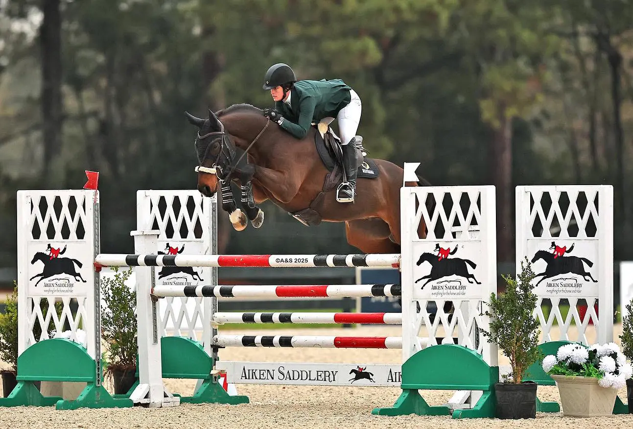Equus Events show photography