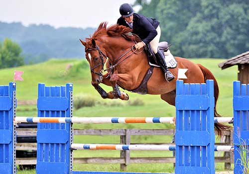 Dietrich Jumper Classic Week 2 Equus Events Atlanta Summerfest