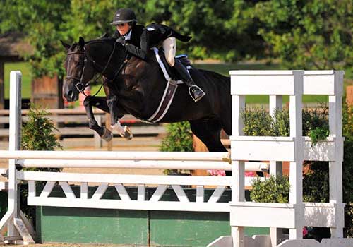 Dietrich Jumper Classic Week 2 Equus Events Atlanta Summerfest