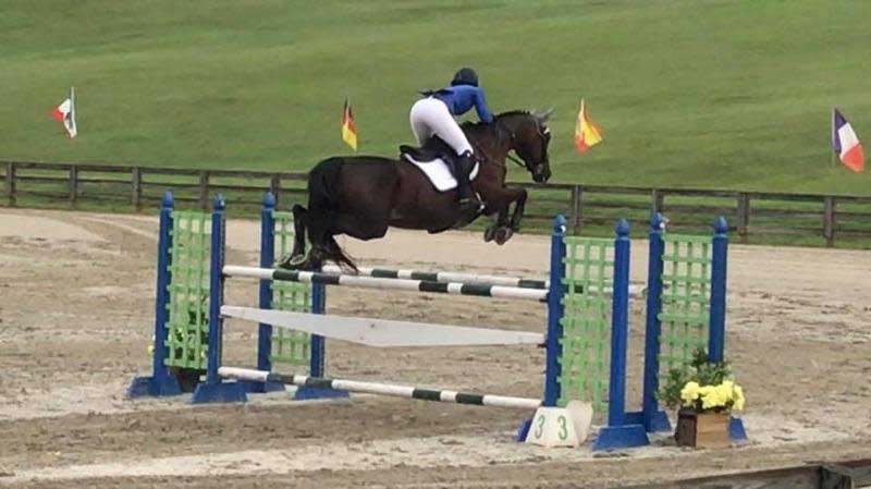 Dietrich Jumper Classic Week 2 Equus Events Atlanta Summerfest