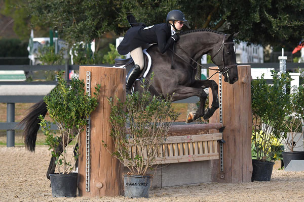 Aiken December Classics