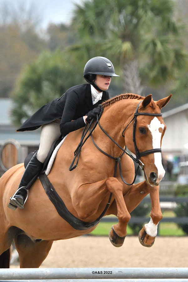 Aiken December Classics