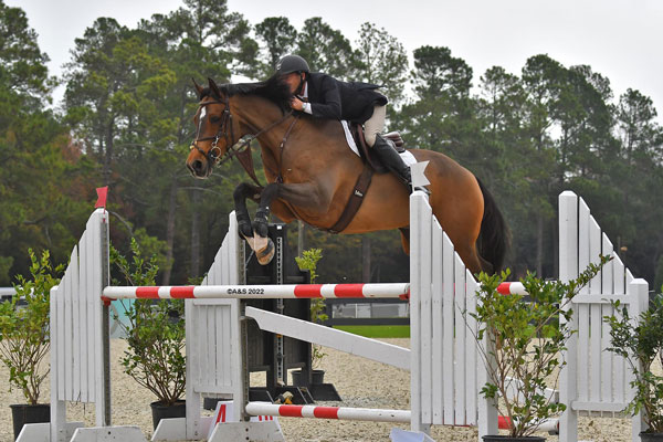 Aiken December Classics
