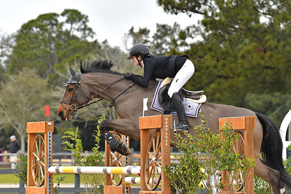 Aiken December Classics