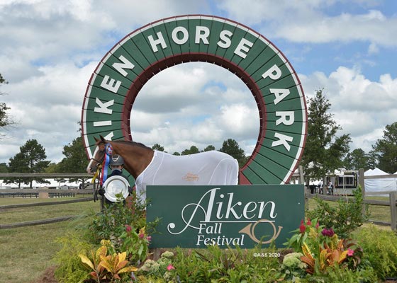 Large-Pony-Hunter-Circuit-Champion.jpg