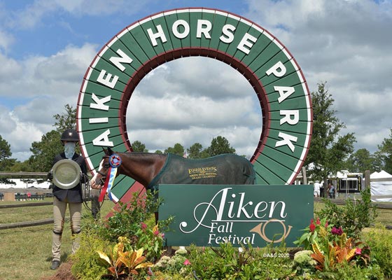 Medium-Pony-Hunter-Circuit-Champion.jpg