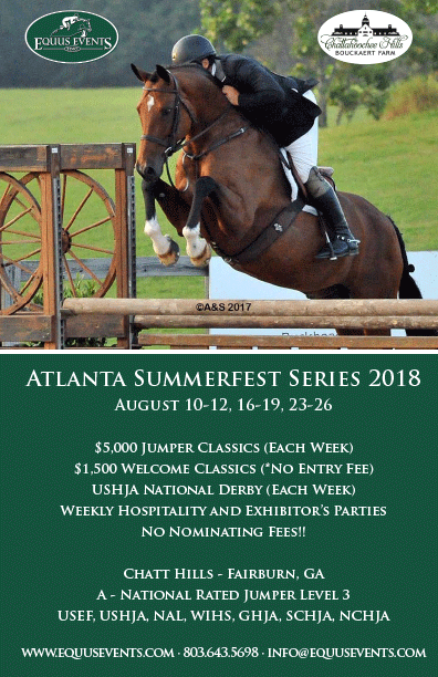 2018 Atlanta Summerfest. 